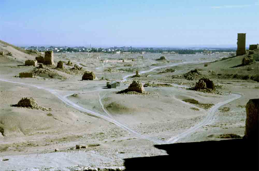 39 - Siria - Palmira, torres funerarias